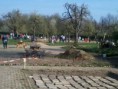 /album/fotogalerij-deheeg-kleurt-groen/a1366903888640-jpg/